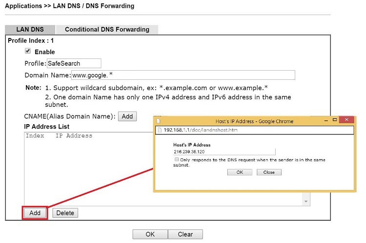 a screenshot of DrayOS LAN DNS settings